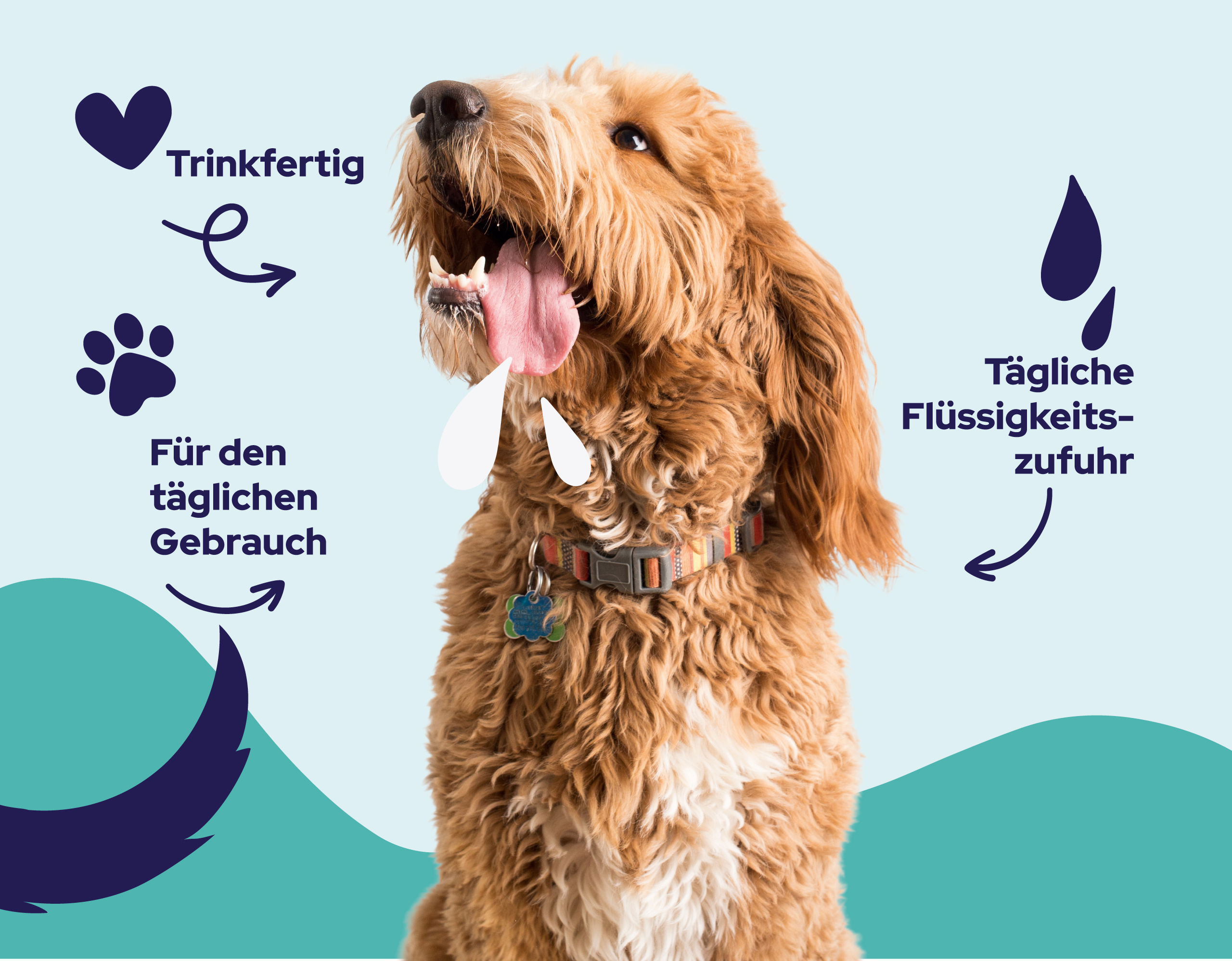 Hund mit ViWell Vorteilen: trinkfertig, für den täglichen Gebrauch, tägliche Flüssigkeitszufuhr