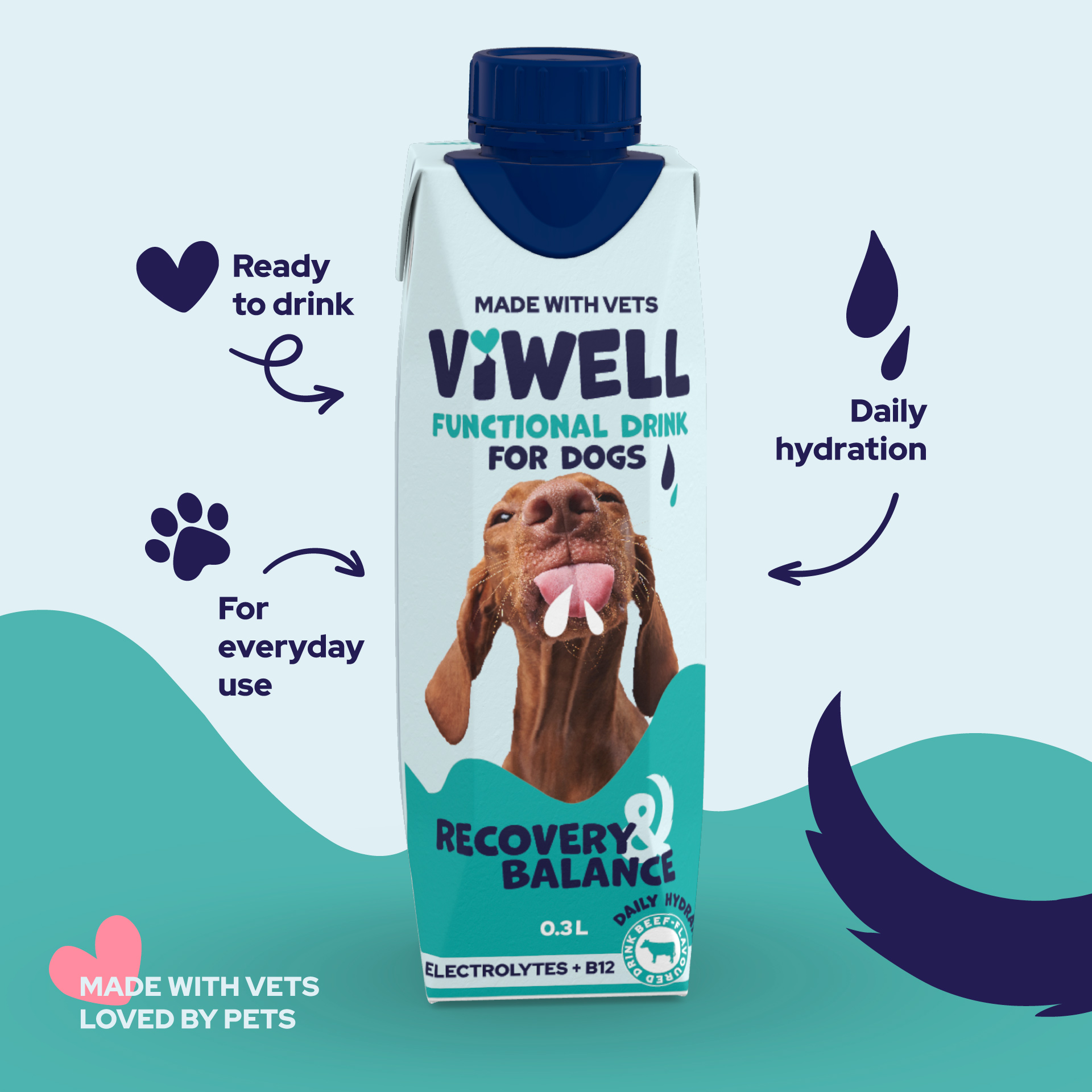 VIWELL RECOVERY & BALANCE - Image 2