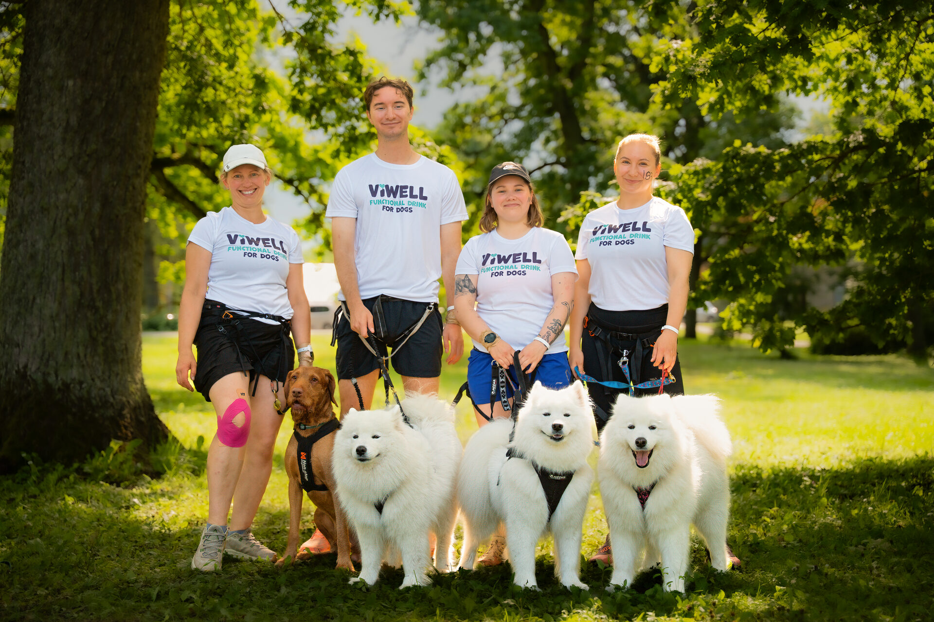 ViWell team with their dogs at the Mudajooks mudrun event